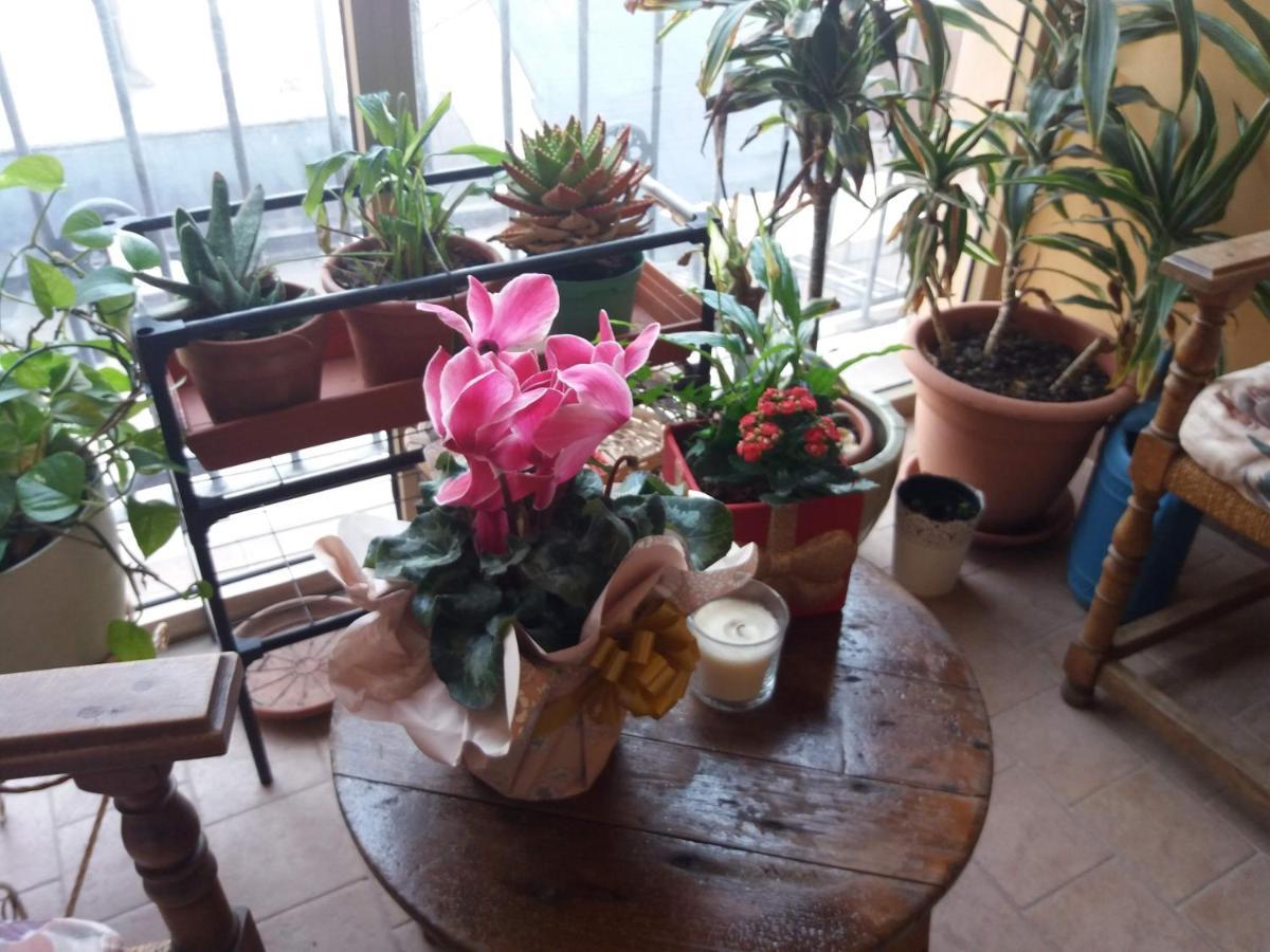 "La Maison Del Corso" Hospitality 피사 외부 사진