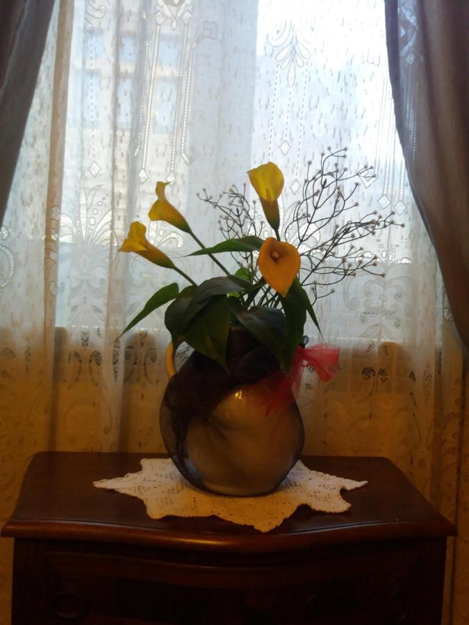 "La Maison Del Corso" Hospitality 피사 외부 사진